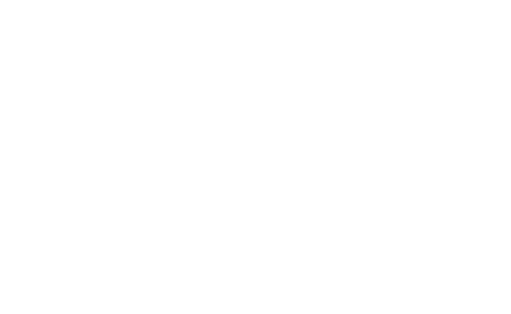 Logo MailSoar white